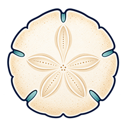 Sand Dollar